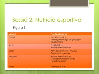Sessió 2: Nutrició esportiva
Minerals Procés relacionat
Potassi Funció muscular
Emmagatzematge de glucogen
Equilibri hídric
Sodi Equilibri hídric
Activació enzimàtica
Calci Activació de nervis i músculs
Contracció muscular
Magnesi Activació enzimàtica
Metabolisme de proteïnes
Funció muscular
Fòsfor Formació d’ATP
Figura 1
 