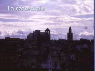 Saluti da bisceglie