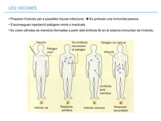 LES VACUNES
• Preparen l’individu per a possibles futures infeccions.  Es produeix una immunitat passiva.
• S’aconsegueix injectant-li patògens morts o inactivats.
• Es creen cèl·lules de memòria (formades a partir dels limfòcits B) en el sistema immunitari de l’individu.
 
