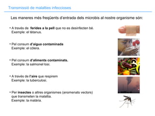 Transmissió de malalties infeccioses
• A través de ferides a la pell que no es desinfecten bé.
Exemple: el tètanus.
• Pel consum d’aigua contaminada
Exemple: el còlera.
• Pel consum d’aliments contaminats.
Exemple: la salmonel·losi.
• A través de l’aire que respirem
Exemple: la tuberculosi.
• Per insectes o altres organismes (anomenats vectors)
que transmeten la malaltia.
Exemple: la malària.
Les maneres més freqüents d’entrada dels microbis al nostre organisme són:
 