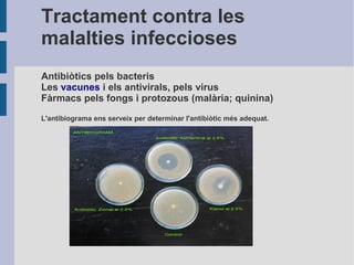 Tractament contra les
malalties infeccioses
Antibiòtics pels bacteris
Les vacunes i els antivirals, pels virus
Fàrmacs pels fongs i protozous (malària; quinina)
L'antibiograma ens serveix per determinar l'antibiòtic més adequat.

 