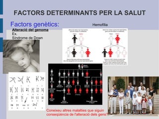 FACTORS DETERMINANTS PER LA SALUT
Factors genètics:

Hemofília

Alteració del genoma
Ex.
Síndrome de Down

Coneixeu altres malalties que siguin
conseqüència de l'alteració dels gens?

 