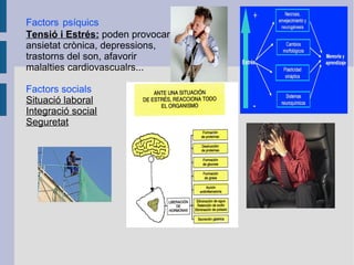 Factors psíquics
Tensió i Estrés: poden provocar
ansietat crònica, depressions,
trastorns del son, afavorir
malalties cardiovascualrs...
Factors socials
Situació laboral
Integració social
Seguretat

 