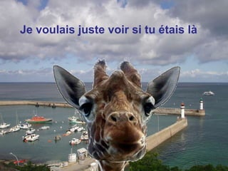 Je voulais juste voir si tu étais là