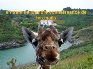 en train de prendre connaissance de tes mails