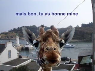 mais bon, tu as bonne mine