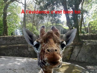 À l’évidence c’est bien toi 