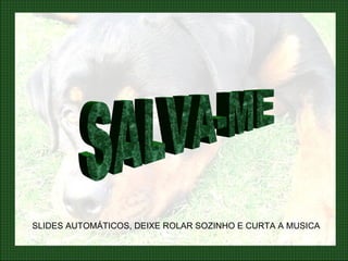 SALVA-ME SLIDES AUTOMÁTICOS, DEIXE ROLAR SOZINHO E CURTA A MUSICA 
