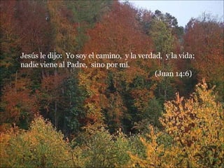 Jesús le dijo:  Yo soy el camino,  y la verdad,  y la vida;  nadie viene al Padre,  sino por mí.  (Juan 14:6) 