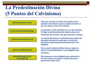 La Predestinación Divina (5 Puntos del Calvinismo) DEPRAVACION TOTAL ELECCION INCONDICIONAL EXPIACION PARTICULAR GRACIA IRRESISTIBLE PERSEVERANCIA DE  LOS SANTOS Todo ser humano ha sido corrompido por el pecado a tal extremo que no puede ser salvo ni por sus obras ni por su fé natural. La elección y la fé salvadora son un don de Dios. El elige incondicionalmente desde antes de la fundación del mundo a los que han de ser salvos . La muerte de Cristo es suficiente para expiar los pecados de todo el mundo pero su eficacia salvadora está limitada particularmente a los elegidos. En su gracia soberana Dios llama y regenera eficaz e irresistiblemente a sus elegidos para salvación . Dios preserva a sus elegidos para salvación y les da la gracia, el poder y la provisión para perseverar hasta el fin. 