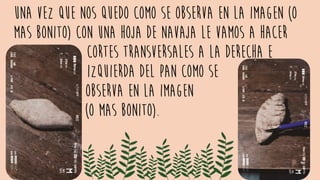 Una vez que nos quedo como se observa en la imagen (o
mas bonito) con una hoja de navaja le vamos a hacer
. cortes transversales a la derecha e
. izquierda del pan como se
. observa en la imagen
. (o mas bonito).
 