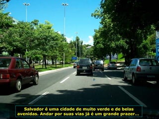 Salvador é uma cidade de muito verde e de belas avenidas. Andar por suas vias já é um grande prazer...  