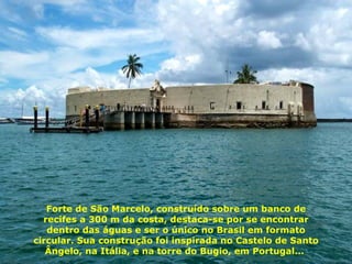 Forte de São Marcelo, construído sobre um banco de recifes a 300 m da costa, destaca-se por se encontrar dentro das águas e ser o único no Brasil em formato circular. Sua construção foi inspirada no Castelo de Santo Ângelo, na Itália, e na torre do Bugio, em Portugal...  