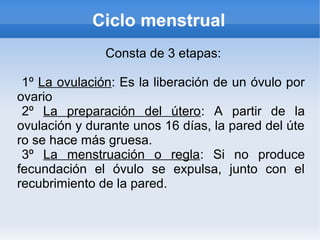 Ciclo menstrual
               Consta de 3 etapas:

 1º La ovulación: Es la liberación de un óvulo por
ovario
 2º La preparación del útero: A partir de la
ovulación y durante unos 16 días, la pared del úte
ro se hace más gruesa.
 3º La menstruación o regla: Si no produce
fecundación el óvulo se expulsa, junto con el
recubrimiento de la pared.
 