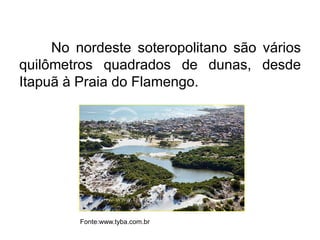 No nordeste soteropolitano são vários
quilômetros quadrados de dunas, desde
Itapuã à Praia do Flamengo.

Fonte:www.tyba.com.br

 