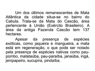 Um dos últimos remanescentes de Mata
Atlântica da cidade situa-se no bairro do
Cabula. Trata-se da Mata do Cascão, área
pertencente à União (Exército Brasileiro). A
área da antiga Fazenda Cascão tem 137
hectares.
Apesar da presença de espécies
exóticas, como jaqueira e mangueira, a mata
está em regeneração, o que pode ser notado
pela presença de espécies nativas como paupombo, matataúba, pau-paraíba, janaúba, ingá,
jenipapeiro, sucupira, pindaíba.

 