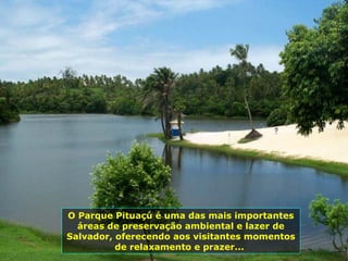 O Parque Pituaçú é uma das mais importantes áreas de preservação ambiental e lazer de Salvador, oferecendo aos visitantes momentos de relaxamento e prazer...  
