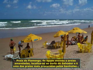 Praia do Flamengo, de águas mornas e areias amareladas, localiza-se ao norte de Salvador e é uma das praias mais procuradas pelos banhistas...  