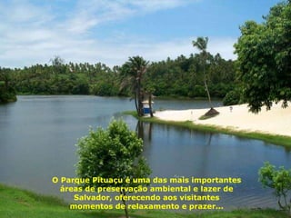 O Parque Pituaçu é uma das mais importantes áreas de preservação ambiental e lazer de Salvador, oferecendo aos visitantes momentos de relaxamento e prazer... 