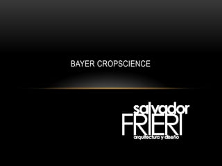 BAYER CROPSCIENCE




Salvador Frieri Del Castillo                   www.frieri.net
 