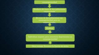consanguineidad
Producto de cruce de dos poblaciones
emparentada
El cruce de dos poblaciones con
consanguineidad pero no
emparentadas
Produce
Individuos mejores para caracteres deprimentes en
consanguineidad
Otra ventaja: Favorece la fijación de alelos
 