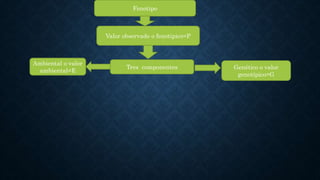 Fenotipo
Valor observado o fenotipico=P
Tres componentes Genético o valor
genotípico=G
Ambiental o valor
ambiental=E
 