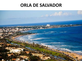 ORLA DE SALVADOR
 