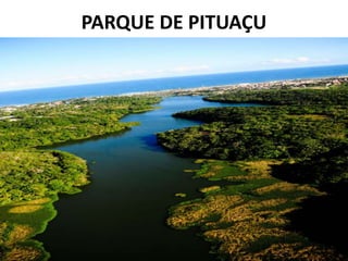 PARQUE DE PITUAÇU
 