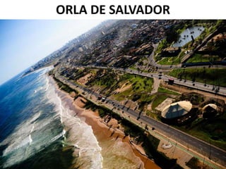 ORLA DE SALVADOR
 