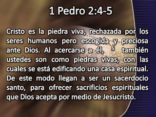 1 Pedro 2:4-5Cristo es la piedra viva, rechazada por los seres humanos pero escogida y preciosa ante Dios. Al acercarse a él,  5  también ustedes son como piedras vivas, con las cuales se está edificando una casa espiritual. De este modo llegan a ser un sacerdocio santo, para ofrecer sacrificios espirituales que Dios acepta por medio de Jesucristo.