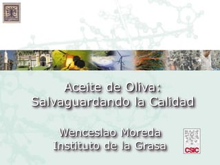 Aceite de Oliva:
Salvaguardando la Calidad

    Wenceslao Moreda
   Instituto de la Grasa
 