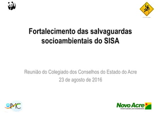 Fortalecimento das salvaguardas
socioambientais do SISAsocioambientais do SISA
Reunião do Colegiado dos Conselhos do Estado do Acre
23 de agosto de 2016
 