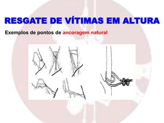 RESGATE DE VÍTIMAS EM ALTURA
Exemplos de pontos de ancoragem natural
 