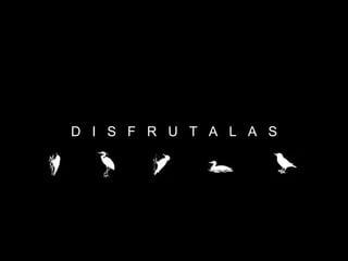 D  I  S  F  R  U  T  A  L  A  S 