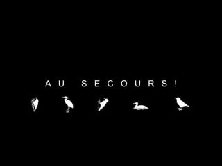 A  U  S  E  C  O  U  R  S  ! 