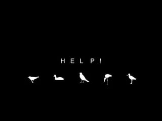 H  E  L  P  ! 
