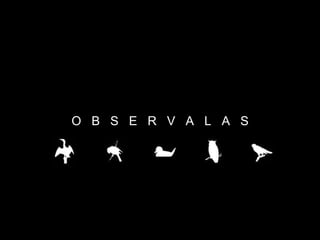 O  B  S  E  R  V  A  L  A  S 