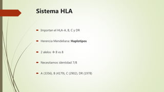 Sistema HLA
 Importan el HLA-A, B, C y DR
 Herencia Mendeliana: Haplotipos
 2 alelos  8 vs 8
 Necesitamos identidad 7/8
 A (3356), B (4179), C (2902), DR (1978)
 