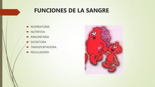  RESPIRATORIA
 NUTRITIVA
 INMUNITARIA
 EXCRETORA
 TRANSPORTADORA
 REGULADORA
FUNCIONES DE LA SANGRE
 