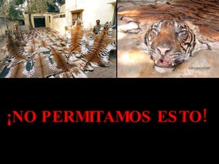 ¡NO PERMITAMOS ESTO! 