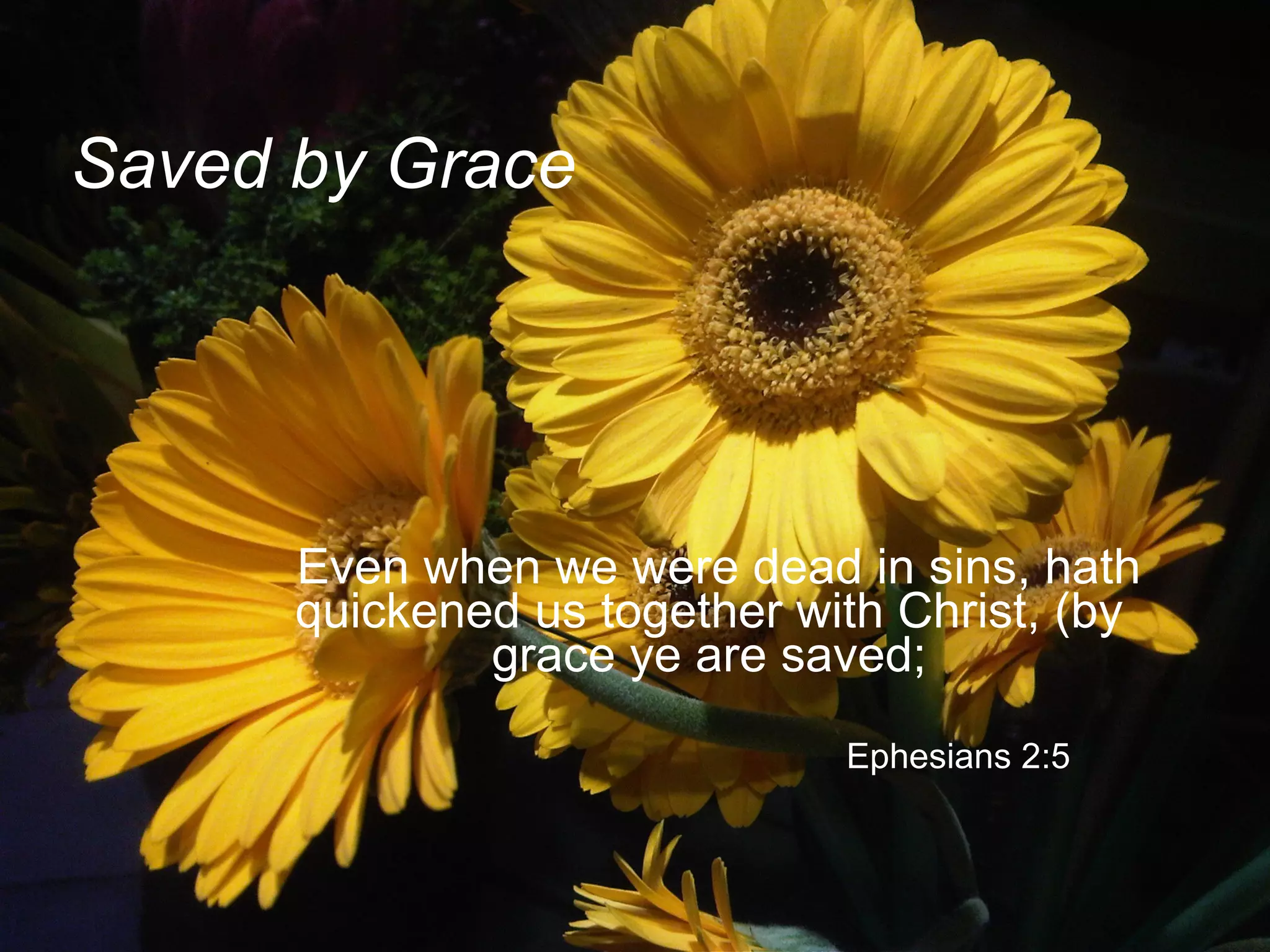 Saved by Grace     Even when we were dead in sins, hath quickened us together with Christ, (by grace ye are saved;     Ephesians 2:5 