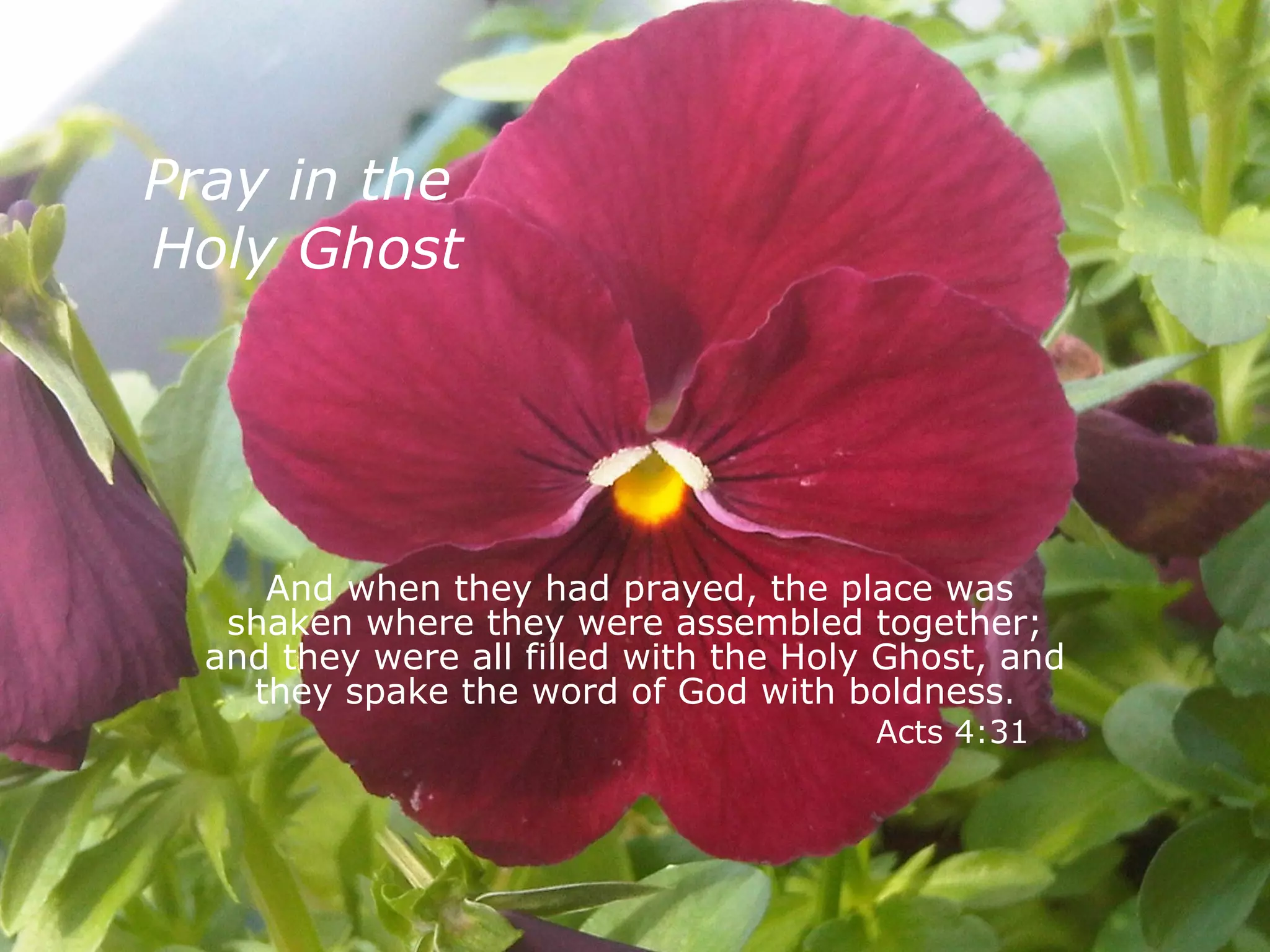 Pray in the  Holy Ghost     And when they had prayed, the place was shaken where they were assembled together; and they were all filled with the Holy Ghost, and they spake the word of God with boldness . Acts 4:31 