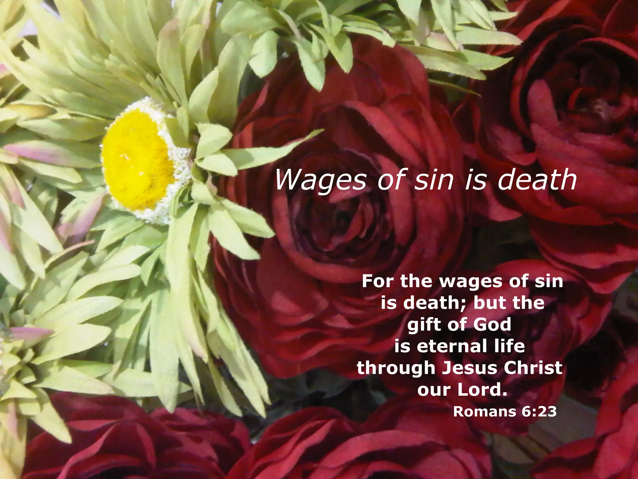 Wages of sin is death For the wages of sin is death; but the  gift of God  is eternal life  through Jesus Christ  our Lord. Romans 6:23 