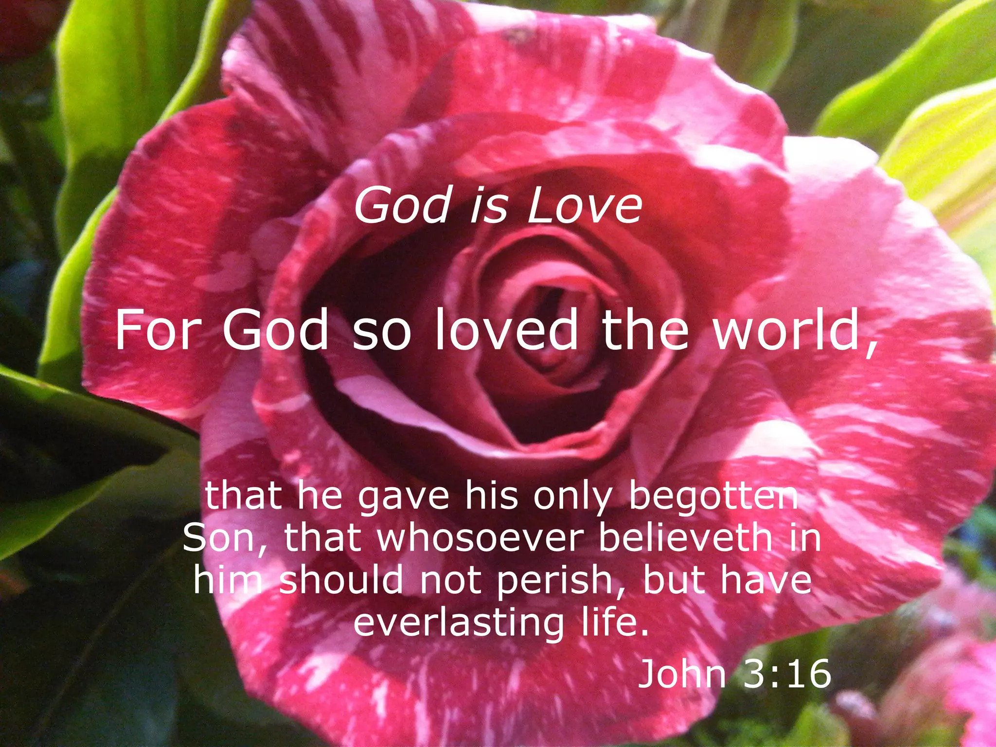 God is Love   For God so loved the world,  that he gave his only begotten Son, that whosoever believeth in him should not perish, but have everlasting life.   John 3:16  