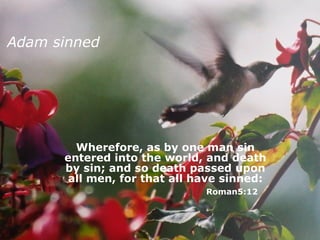 Adam sinned Wherefore, as by one man sin entered into the world, and death by sin; and so death passed upon all men, for that all have sinned:   Roman5:12 