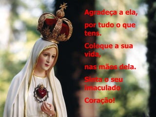Agradeça a ela,  por tudo o que tens. Coloque a sua vida, nas mãos dela. Sinta o seu imaculado Coração! 