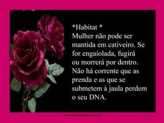 *Habitat * Mulher não pode ser mantida em cativeiro. Se for engaiolada, fugirá ou morrerá por dentro. Não há corrente que as prenda e as que se submetem à jaula perdem o seu DNA.  www.sitecuriosidades.com.br 