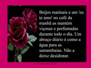 Beijos matinais e um 'eu te amo' no café da manhã as mantém viçosas e perfumadas durante todo o dia. Um abraço diário é como a água para as samambaias. Não a deixe desidratar. www.sitecuriosidades.com.br 