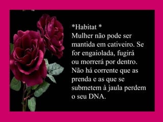 *Habitat * Mulher não pode ser mantida em cativeiro. Se for engaiolada, fugirá ou morrerá por dentro. Não há corrente que as prenda e as que se submetem à jaula perdem o seu DNA.  