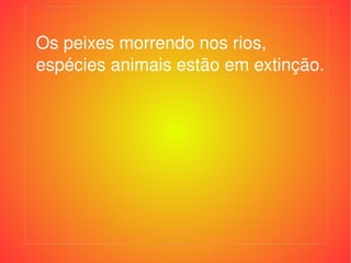 Os peixes morrendo nos rios, espécies animais estão em extinção. Os peixes morrendo nos rios, espécies animais estão em extinção. 